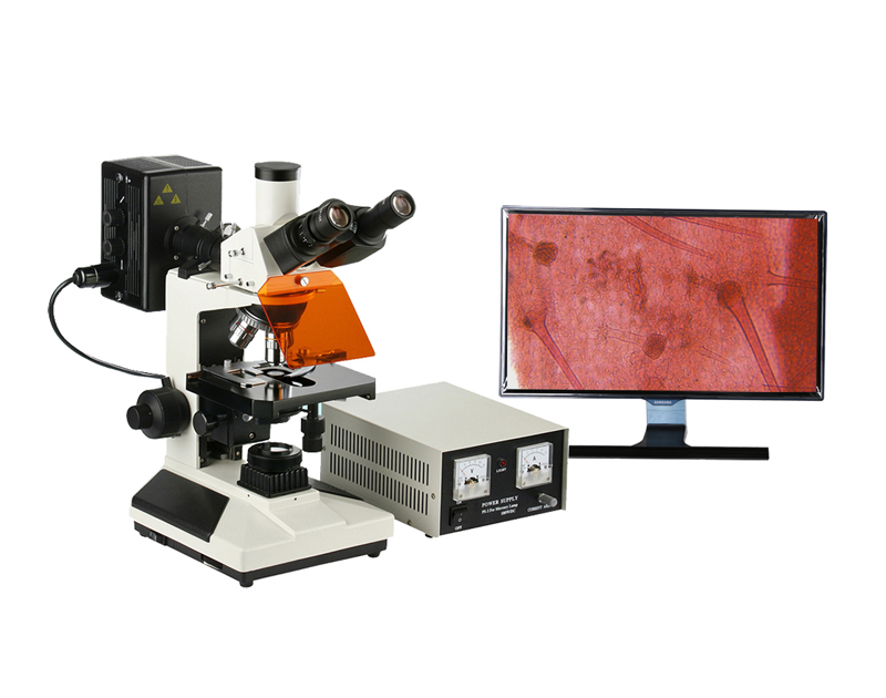 生物顯微鏡的工作原理是怎樣的？