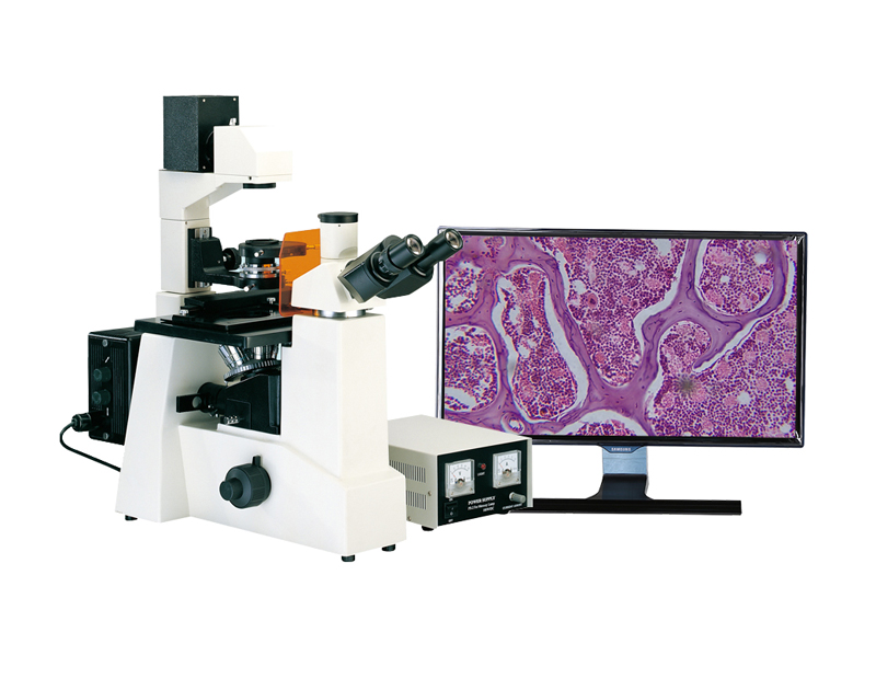 深圳顯微鏡廠家介紹下顯微鏡分類有哪些？