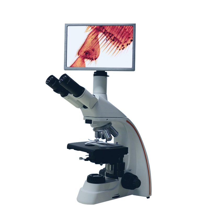 顯微鏡的使用方法